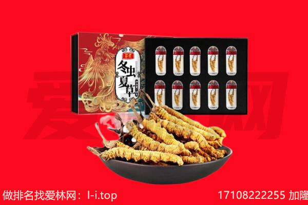 长治市潞州回收虫草.jpg